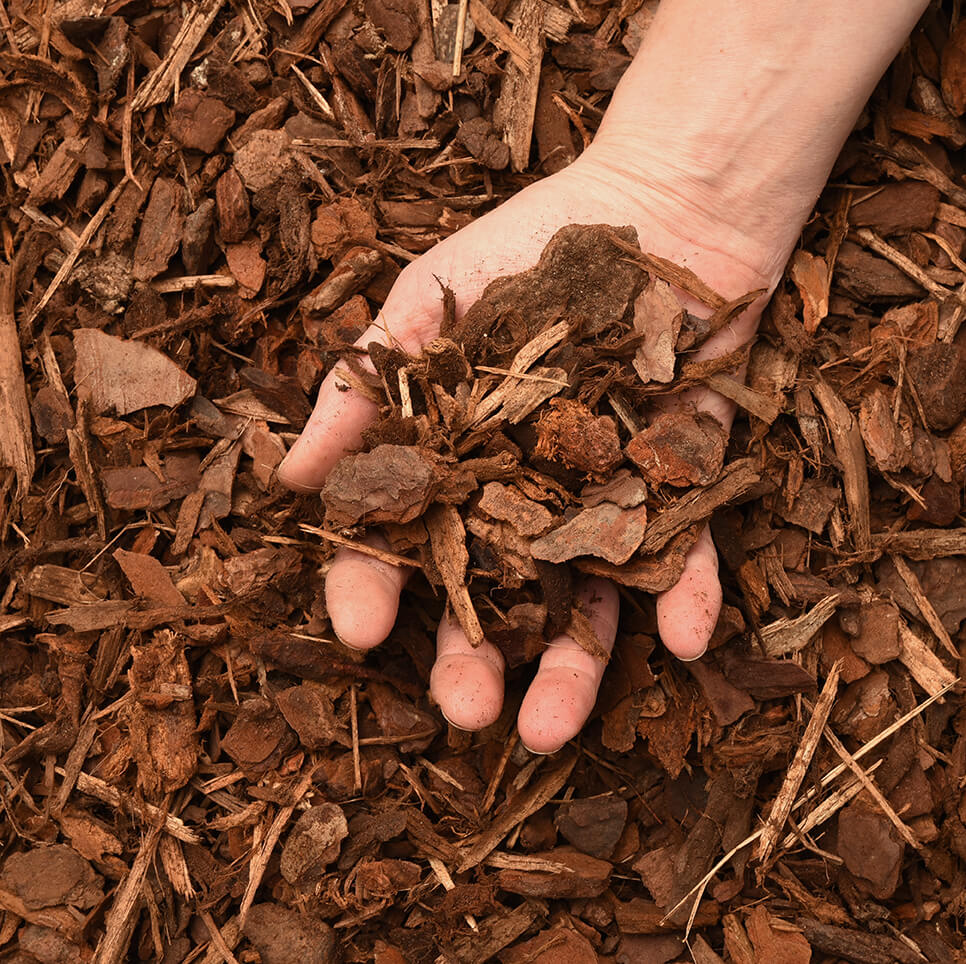 Boomschors aanleggen: hoe begin ik er aan?