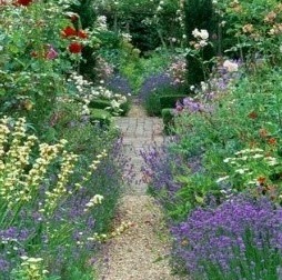 Een stadstuin gezellig inrichten: hoe begin ik eraan?